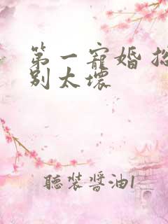 第一宠婚 总裁别太坏