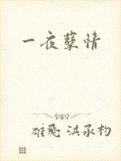 一夜孽情