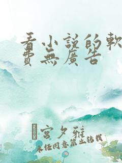 看小说的软件免费无广告