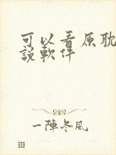 可以看原耽的小说软件