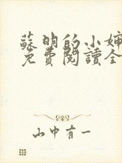 苏明的小婶小说免费阅读全文无弹窗