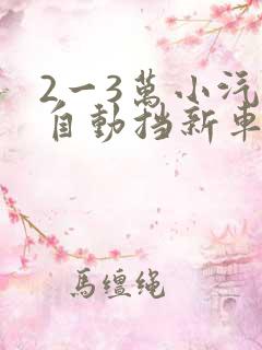 2一3万小汽车自动挡新车