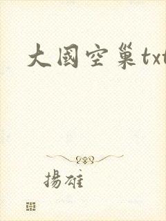 大国空巢txt