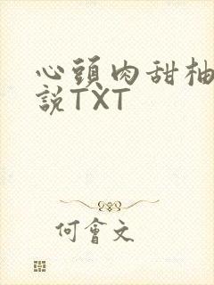 心头肉甜柚子小说TXT