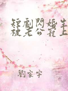 短剧闪婚生子后被老公宠上天