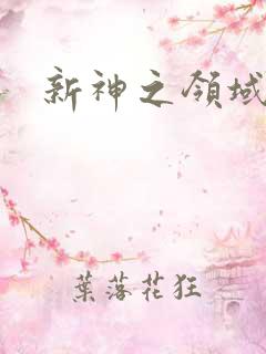 新神之领域
