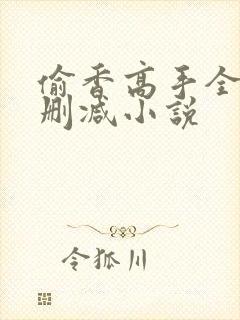 偷香高手全文无删减小说