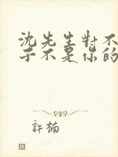 沈先生对不起孩子不是你的短剧免费观看