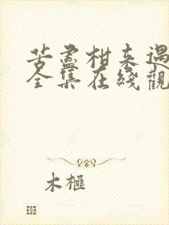 苦尽柑来遇见你全集在线观看免费