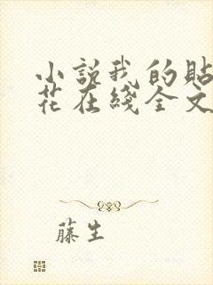 小说我的贴身校花在线全文免费阅读