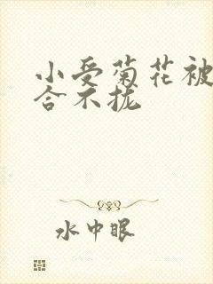 小受菊花被双龙合不拢