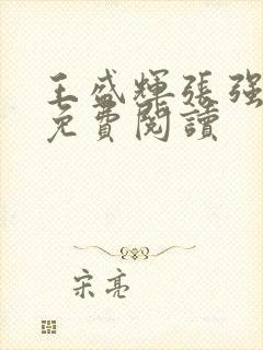 王盛辉张强小说免费阅读