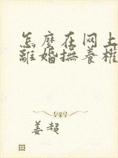 怎么在网上起诉离婚抚养权