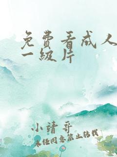 免费看成人黄色一级片