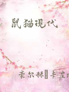 鼠猫现代