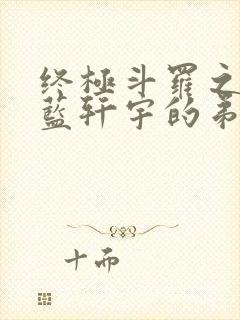 终极斗罗之我是蓝轩宇的弟弟