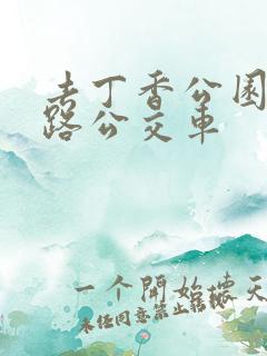 去丁香公园坐几路公交车