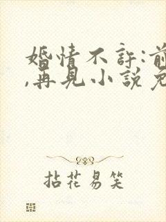 婚情不许:前夫,再见小说免费阅读