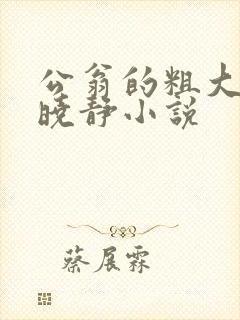 公翁的粗大放进晓静小说