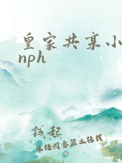 皇家共享小公主nph
