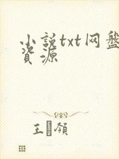 小说txt网盘资源