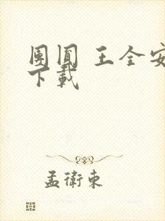 团圆 王全安 下载