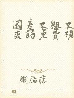 国产又粗又猛又爽的免费视频