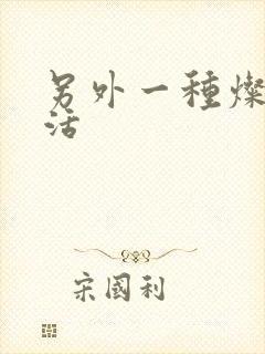 另外一种灿烂生活