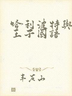 哈利波特与混血王子国语