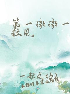 第一微微一笑很拉风