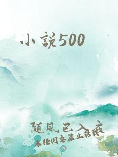 小说500