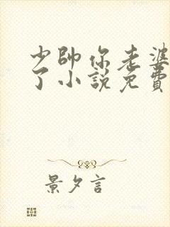 少帅你老婆又跑了小说免费听书