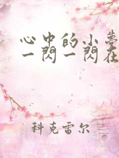 心中的小梦想,一闪一闪在发光歌词