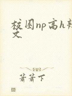校园np高h辣文