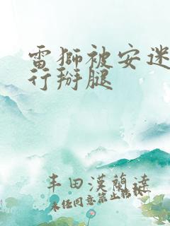 雷狮被安迷修强行掰腿