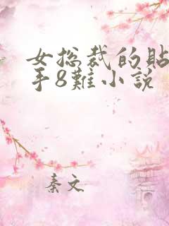 女总裁的贴身高手8难小说