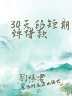 30天的短期周转借款