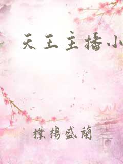 天王主播小说