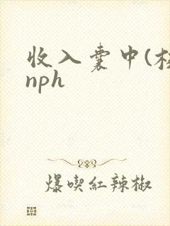 收入囊中(校园nph