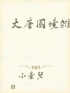 大唐国境杂货店