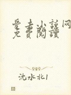 爱去小说网在线免费阅读