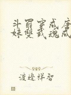 斗罗穿成唐三亲妹双武魂成神了