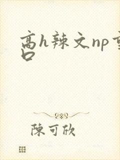 高h辣文np重口