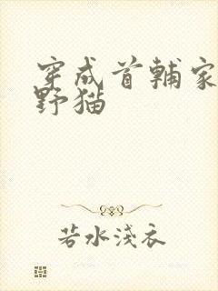 穿成首辅家的小野猫