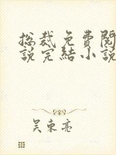 总裁免费阅读小说完结小说