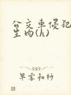 公交车侵犯小男生肉(h)