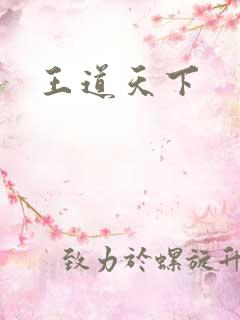 王道天下
