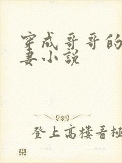 穿成哥哥的未婚妻小说