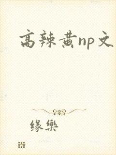 高辣黄np文