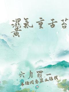 湿气重舌苔白厚黄